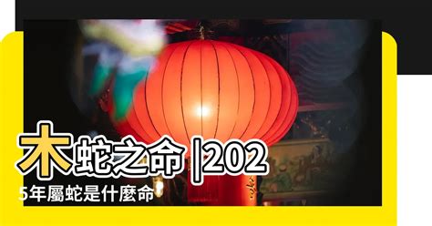 83屬什麼|【83 年屬什麼】83 年屬什麼？40 歲生肖豬 2023 流年運勢詳解！